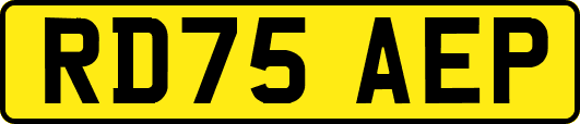 RD75AEP