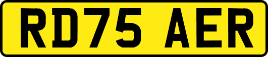 RD75AER