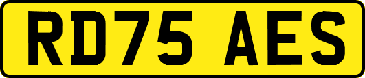 RD75AES