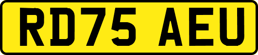 RD75AEU