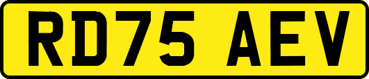 RD75AEV