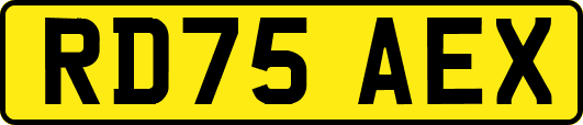 RD75AEX