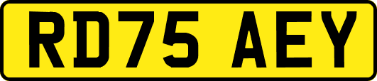 RD75AEY