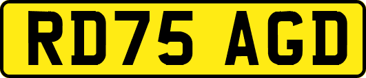 RD75AGD