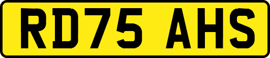 RD75AHS