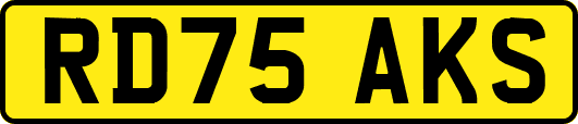 RD75AKS