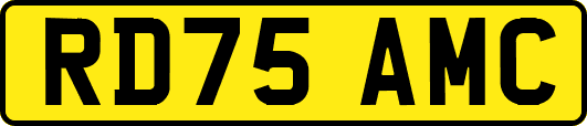 RD75AMC