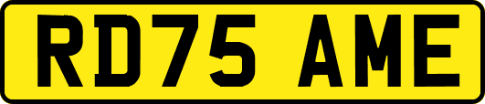 RD75AME