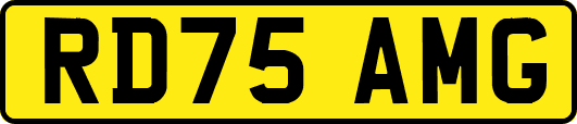 RD75AMG
