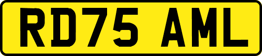 RD75AML