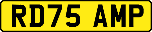 RD75AMP