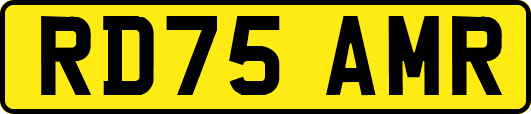 RD75AMR