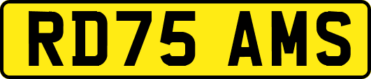 RD75AMS