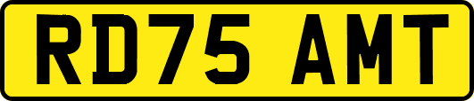 RD75AMT