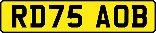 RD75AOB