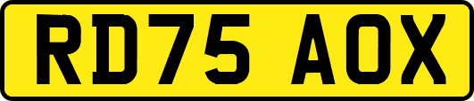 RD75AOX
