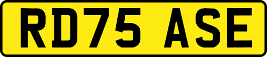 RD75ASE