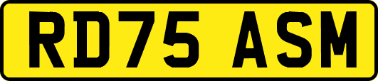 RD75ASM