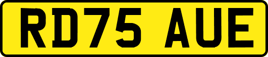 RD75AUE