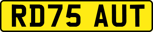 RD75AUT