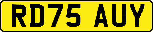 RD75AUY