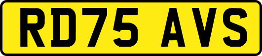 RD75AVS
