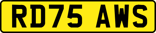 RD75AWS