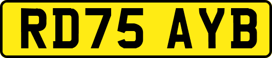 RD75AYB