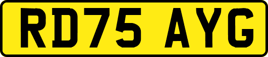 RD75AYG