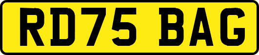 RD75BAG