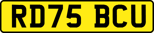 RD75BCU