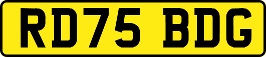 RD75BDG