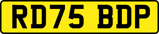 RD75BDP