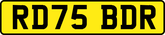 RD75BDR