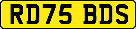 RD75BDS
