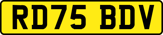 RD75BDV