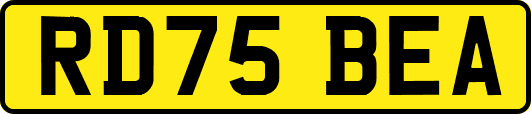 RD75BEA