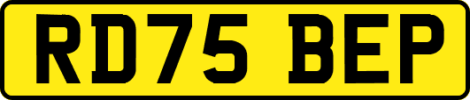 RD75BEP