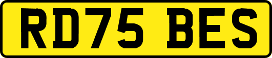 RD75BES