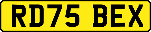 RD75BEX