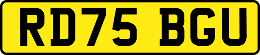 RD75BGU