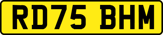 RD75BHM