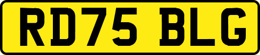 RD75BLG