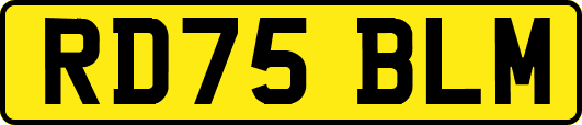 RD75BLM