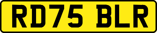 RD75BLR