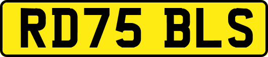 RD75BLS