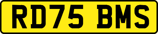 RD75BMS