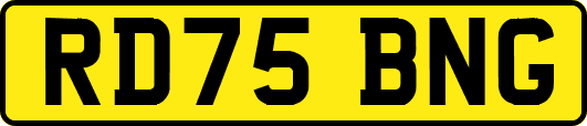 RD75BNG