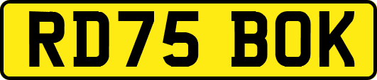 RD75BOK