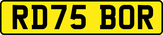 RD75BOR